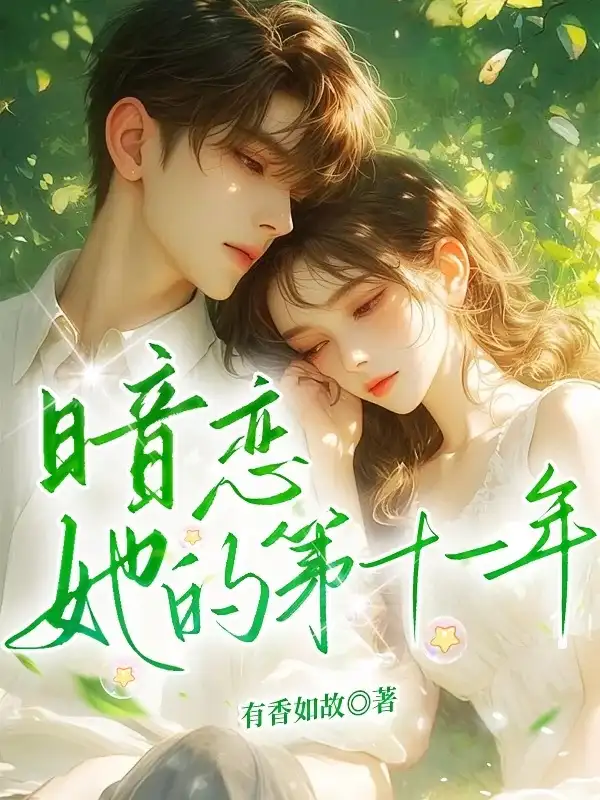 暗恋她的第十一年封面
