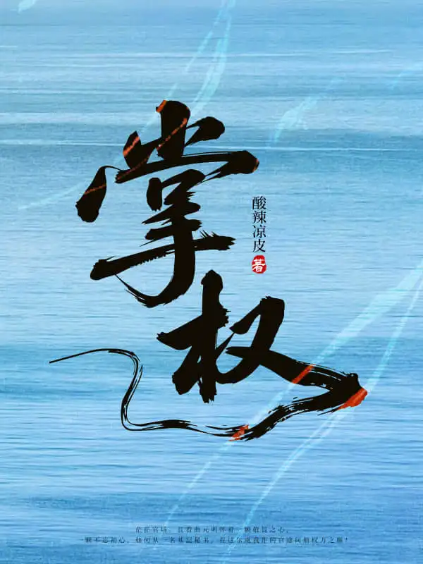 掌权封面