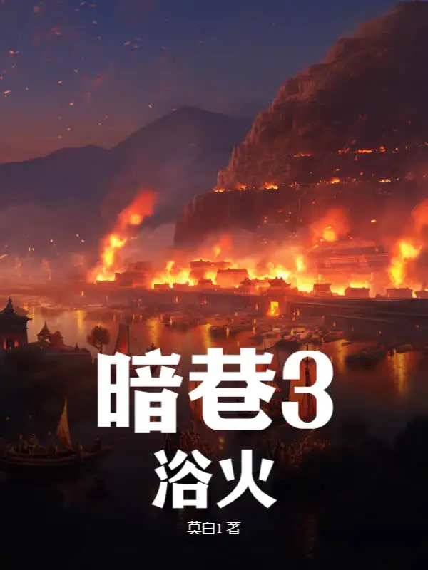 暗巷3：浴火封面