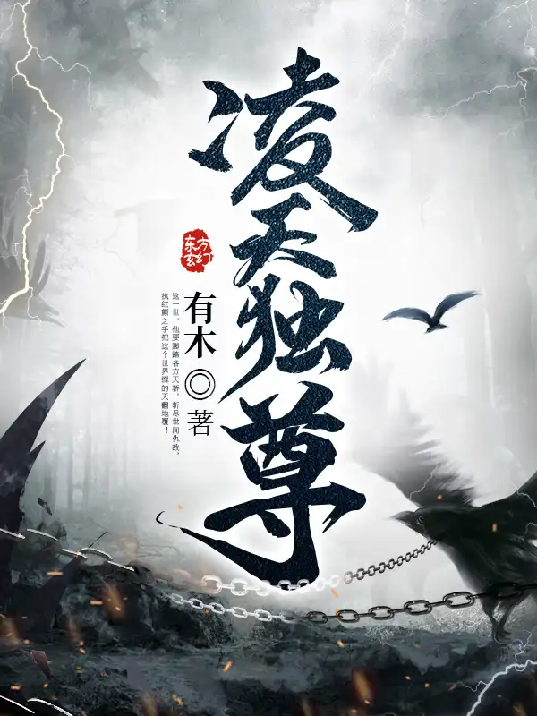 凌天独尊封面