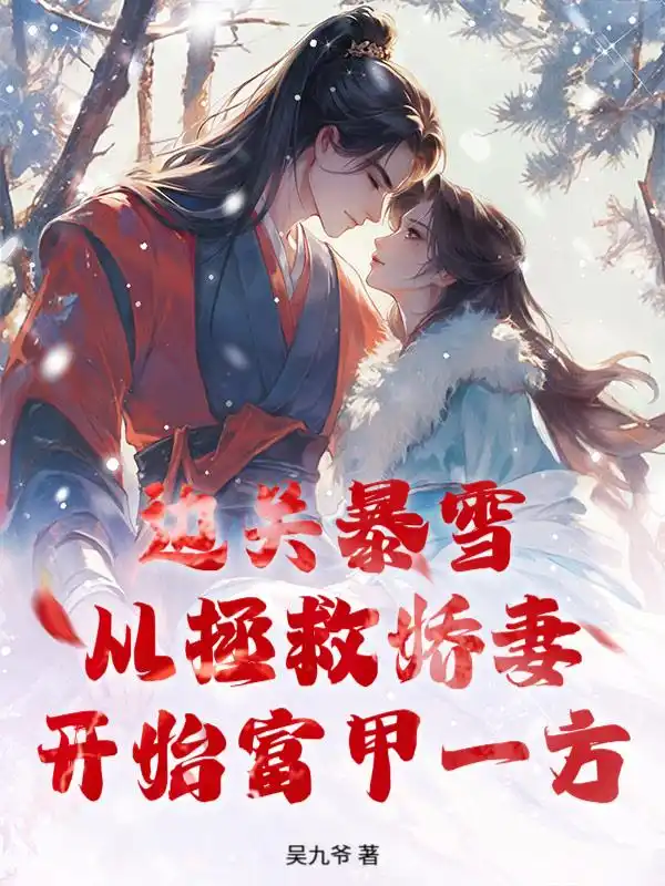边关暴雪，从拯救娇妻开始富甲一方封面