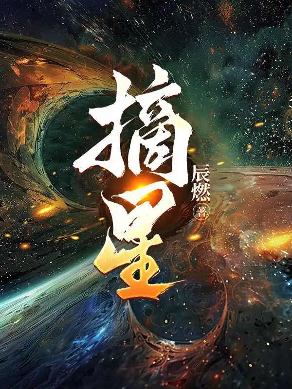 摘星封面