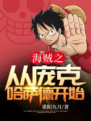 海贼之从庞克哈萨德开始封面
