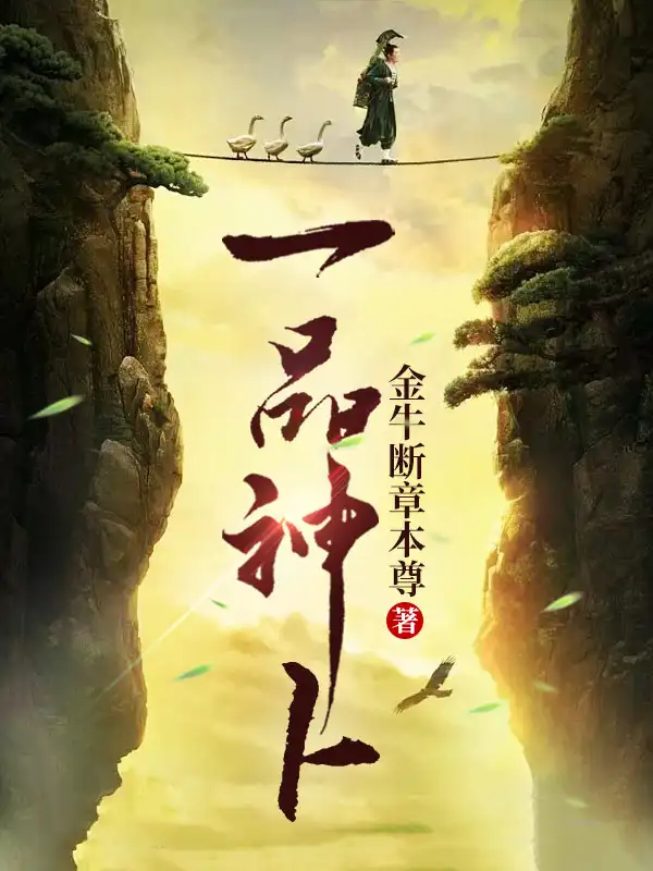 一品神卜封面