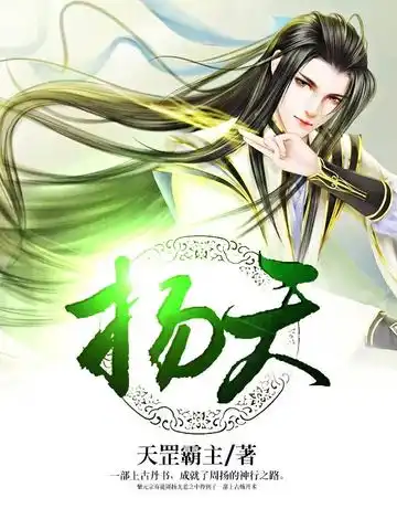 扬天封面