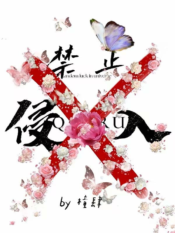 禁止侵入封面