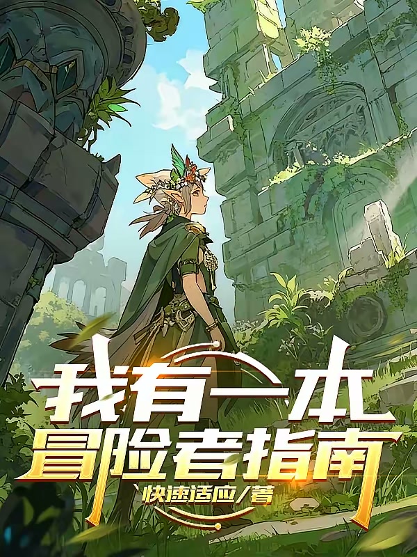 我有一本冒险者指南封面