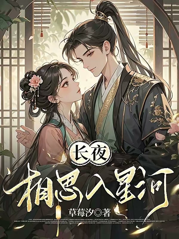 长夜相思入星河封面