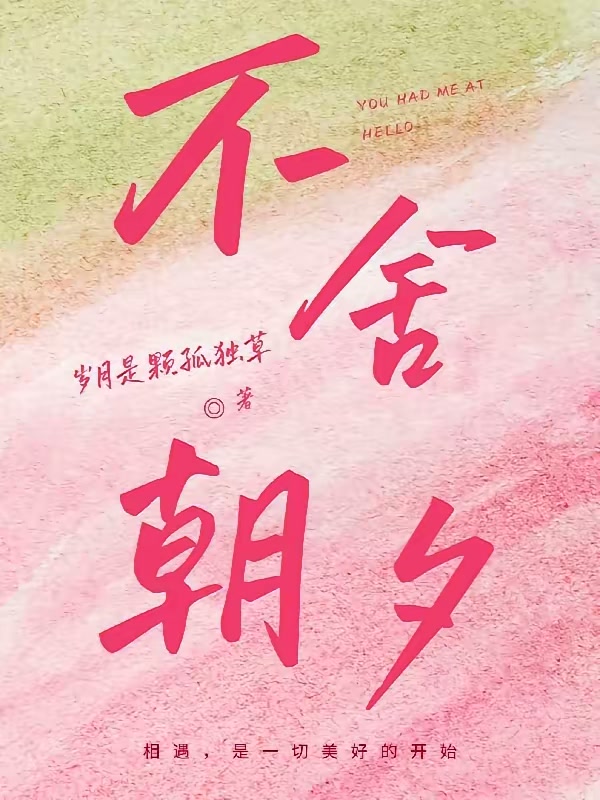 不舍朝夕封面