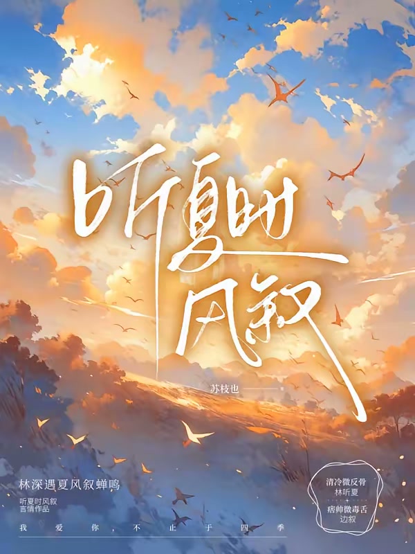听夏时风叙封面