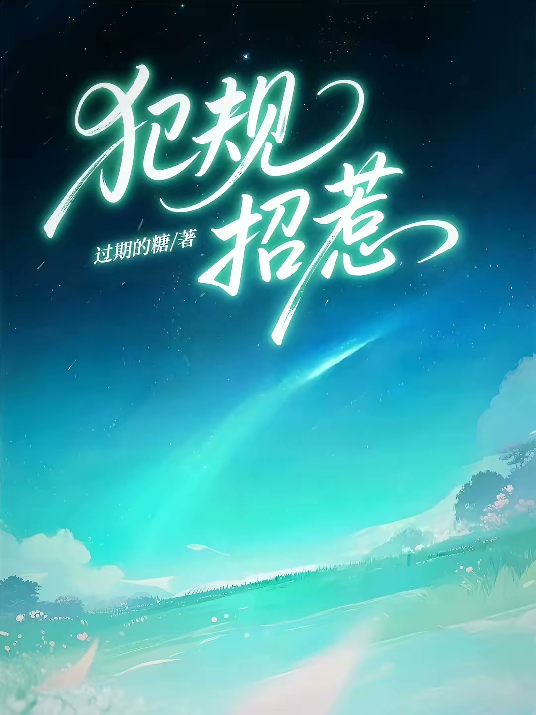 犯规招惹封面