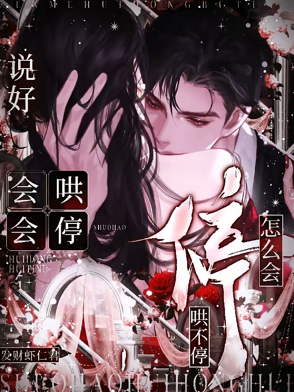 说好会哄会停，怎么会哄不停！封面