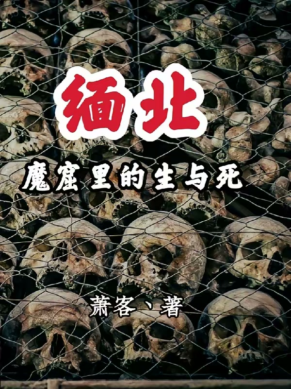 缅北，魔窟里的生与死封面