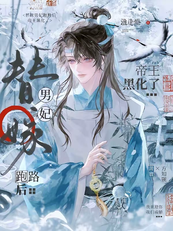 替嫁男妃跑路后，帝王黑化了封面