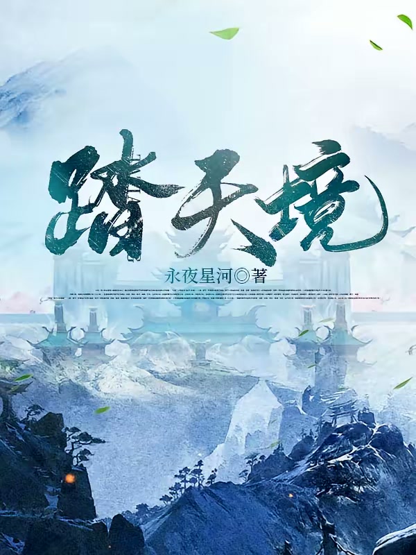 踏天境封面