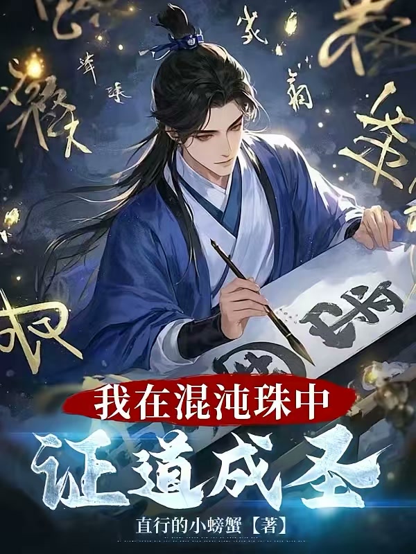 我在混沌珠中证道成圣封面