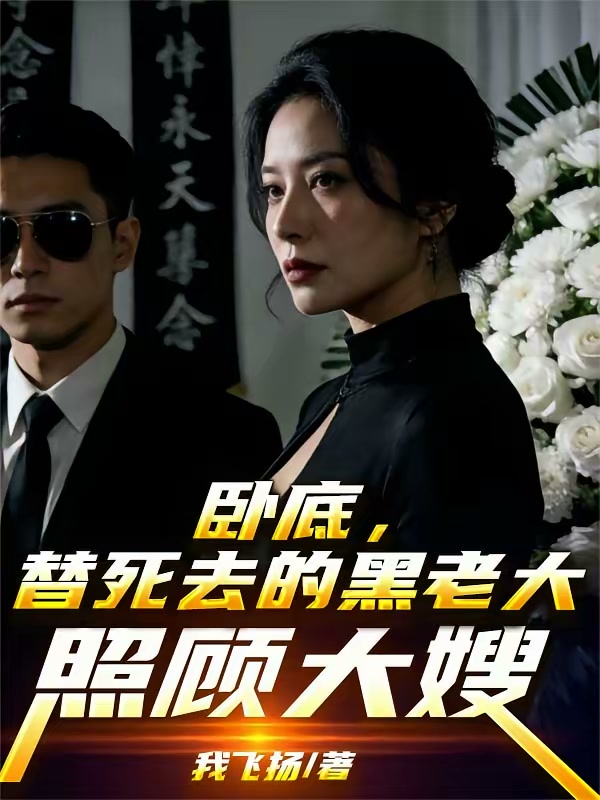 卧底，替死去的黑老大照顾大嫂封面