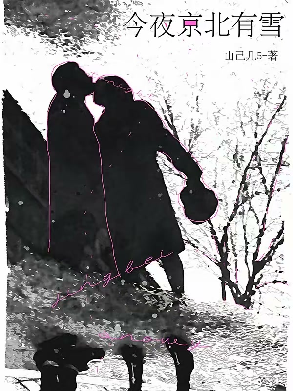 今夜京北有雪封面