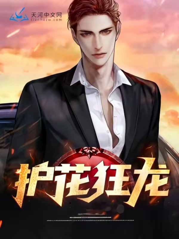 护花狂龙封面