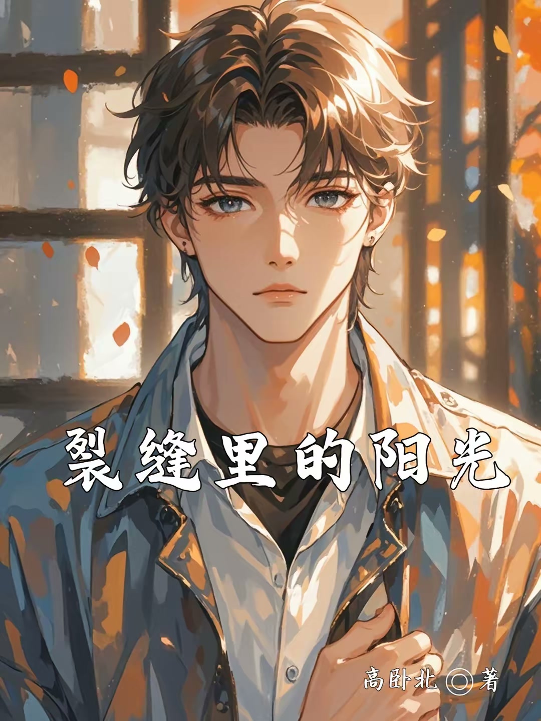 裂缝里的阳光封面