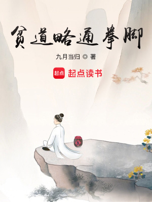 贫道略通拳脚封面