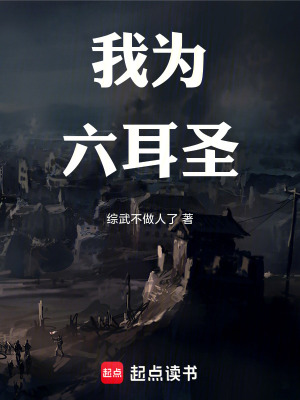 我为六耳圣封面
