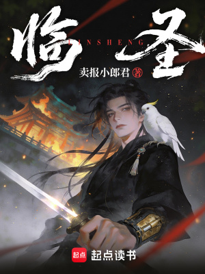 临圣封面