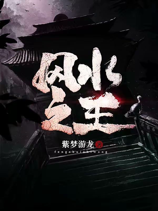 风水之王封面